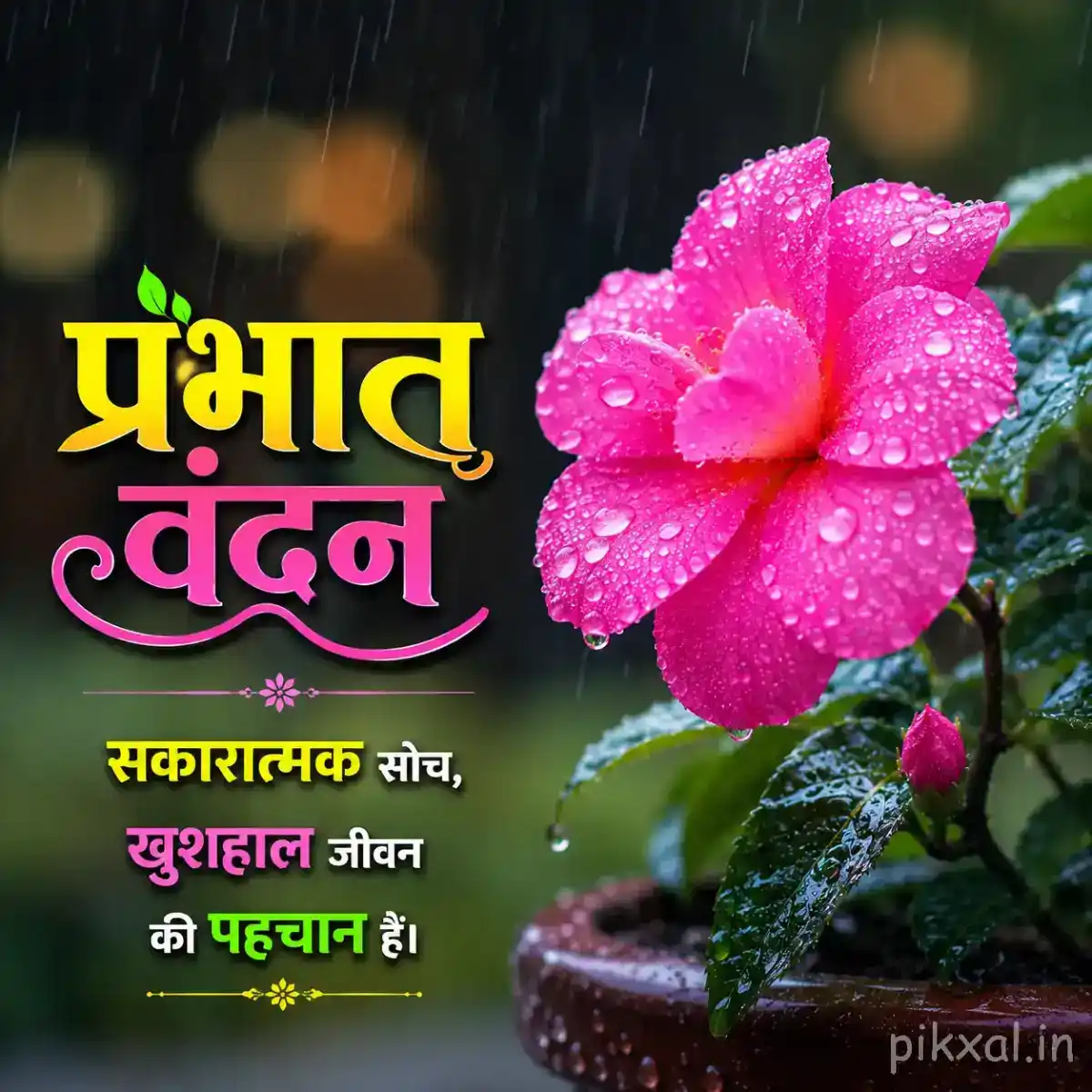 Single bright pink flower with green leaves and raindrops in a small pot against a rainy garden background with a प्रभात वंदन quote