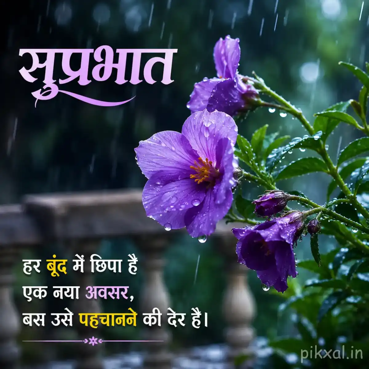Cluster of purple flowers with green leaves and raindrops in a lush monsoon garden with a सुप्रभात quote