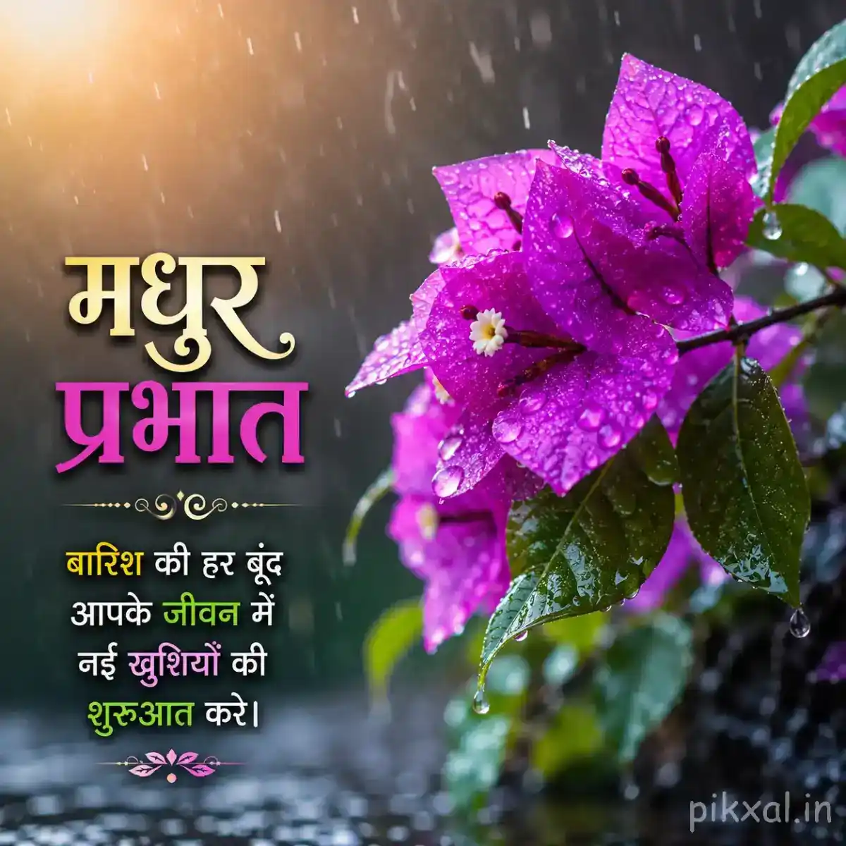 Single bright magenta five-petaled flower with green leaves and raindrops against a blurred rainy garden background