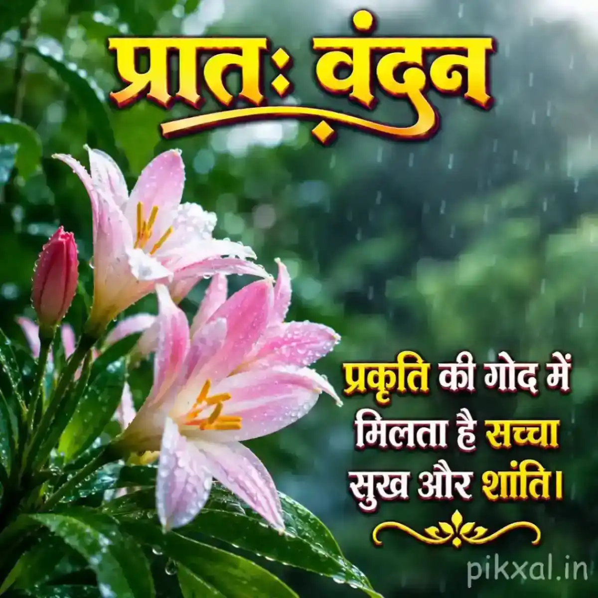 Pink and white flowers with raindrops, green leaves and a peaceful प्रातः वंदन quote in monsoon scenery