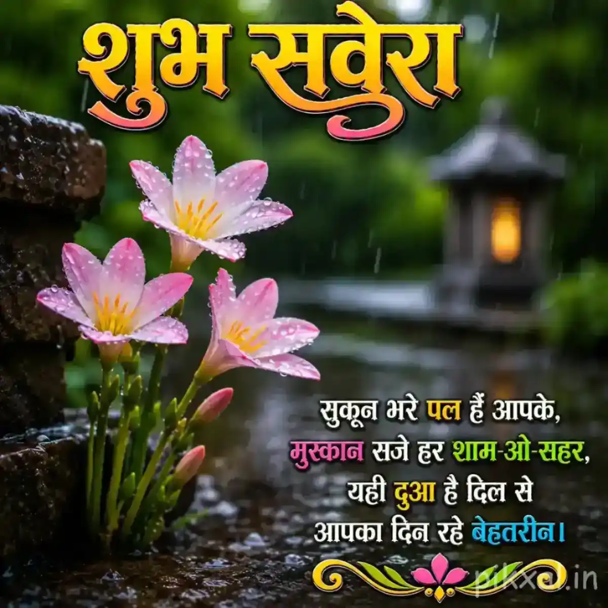 Pink and white flowers with green leaves and raindrops beside a rainy garden path with a शुभ सवेरा quote