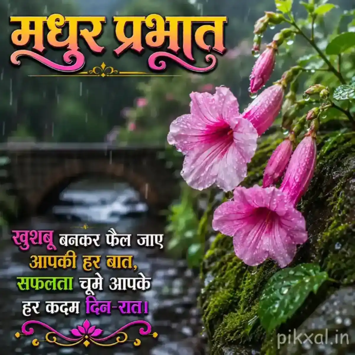 Cluster of pink flowers with green leaves covered in raindrops against a lush monsoon garden background