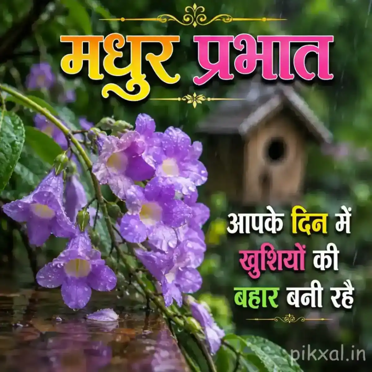 Cluster of small purple flowers with green leaves and raindrops in a rainy garden with a मधुर प्रभात quote