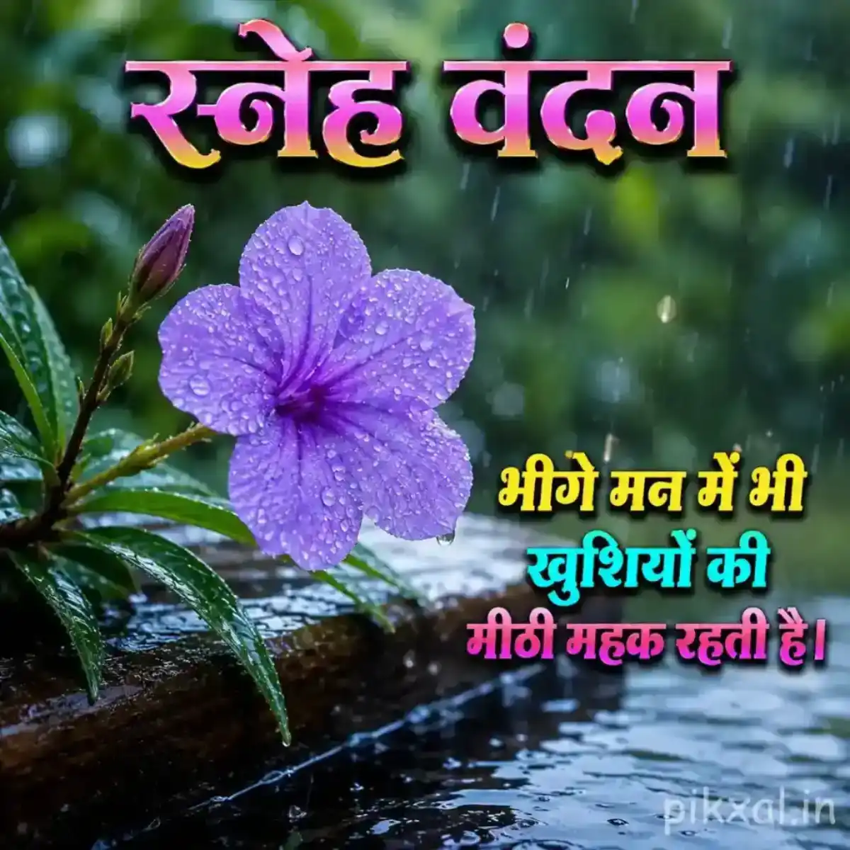 Purple five-petaled flower with green leaves and raindrops in a lush rainy garden with a स्नेह वंदन quote