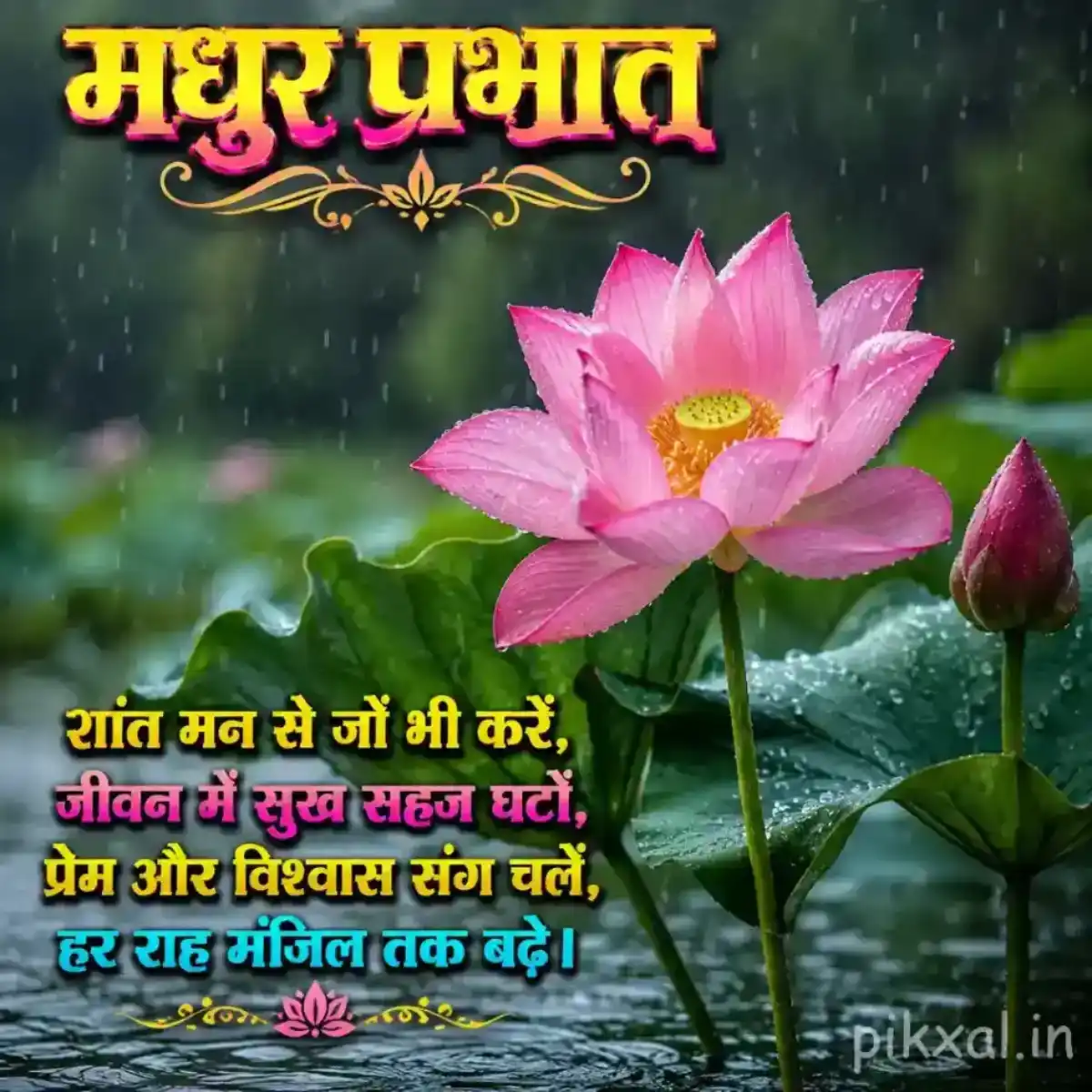 Pink lotus flower with green leaves and raindrops beside a rainy pond with a मधुर प्रभात quote