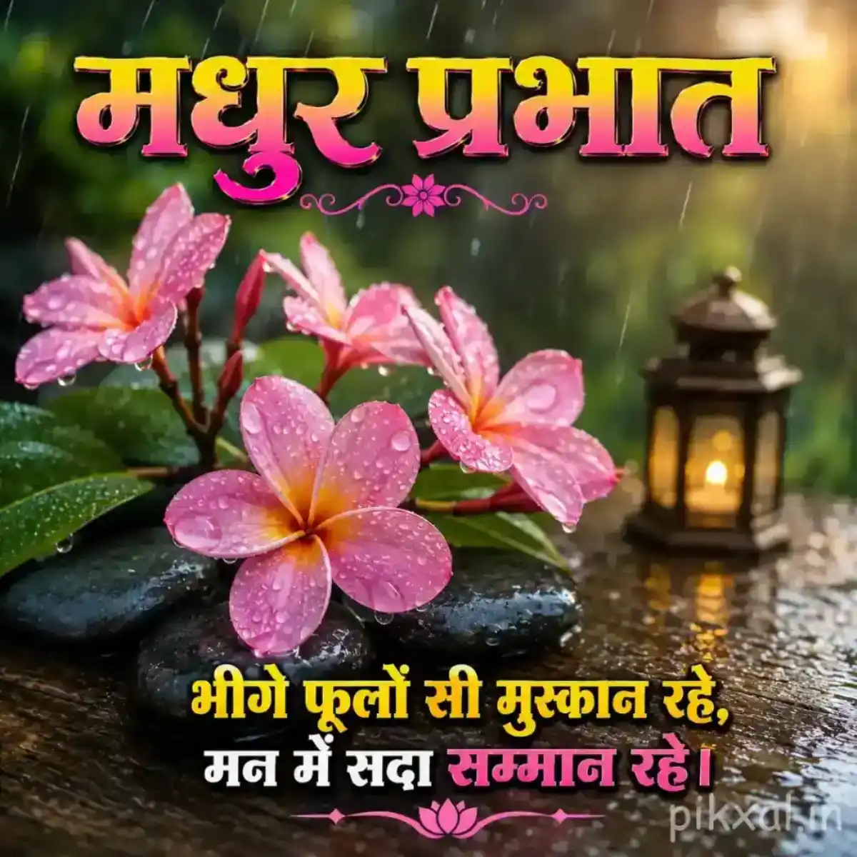 Three pink flowers with green leaves and raindrops beside a wet garden path and lantern in monsoon scenery