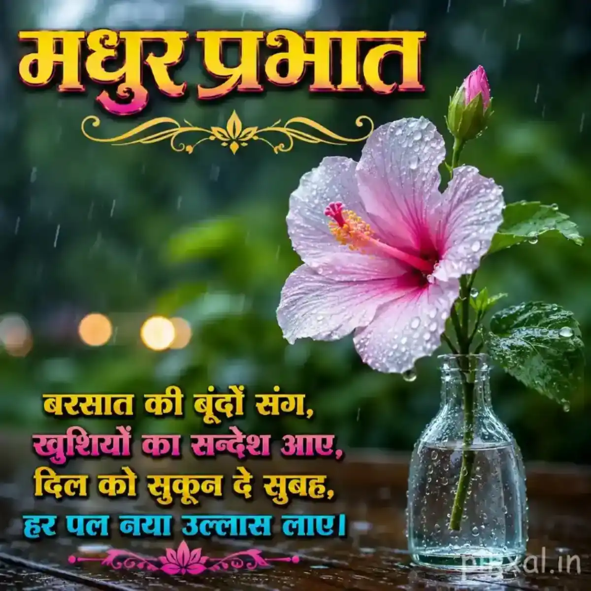 Pink hibiscus flower with green leaves and raindrops in a glass vase against a lush monsoon garden