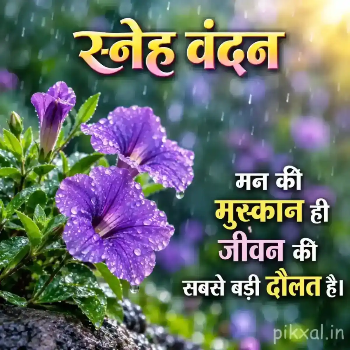 Purple flowers with green leaves and raindrops beside a wet garden path with a स्नेह वंदन quote