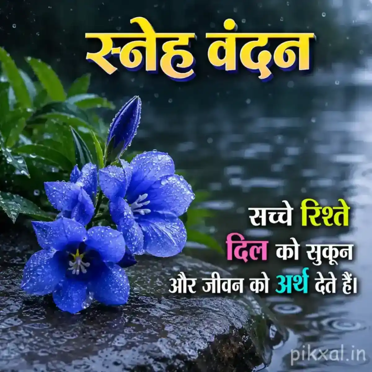 Blue flowers with green leaves and raindrops beside a wet monsoon path with a स्नेह वंदन quote