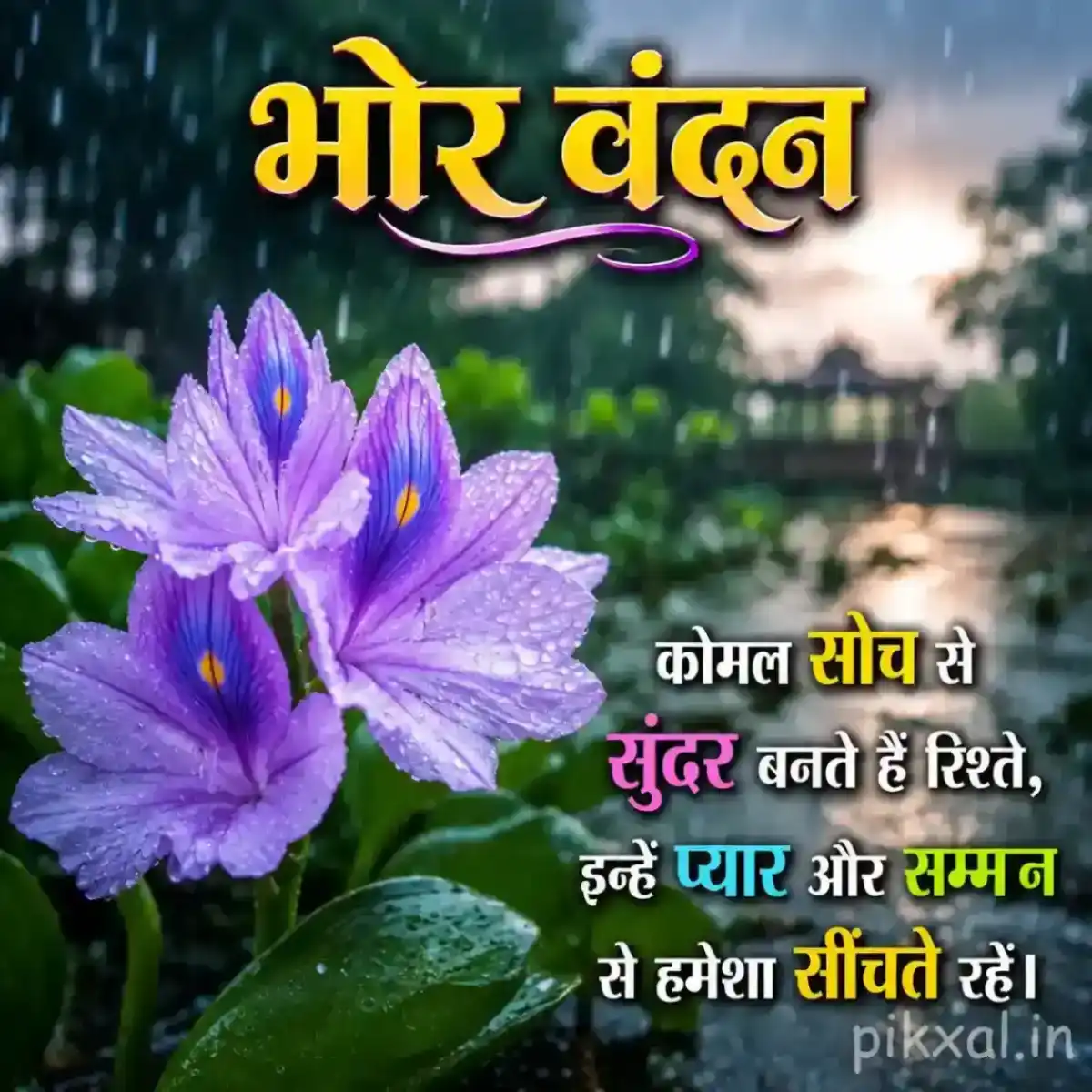 Three purple iris flowers with raindrops and green leaves beside a rainy garden path with a भोर वंदन quote