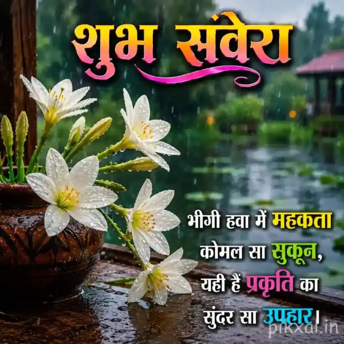 White flowers with yellow centers and green leaves in a bowl beside a rainy garden path with a शुभ सवेरा quote