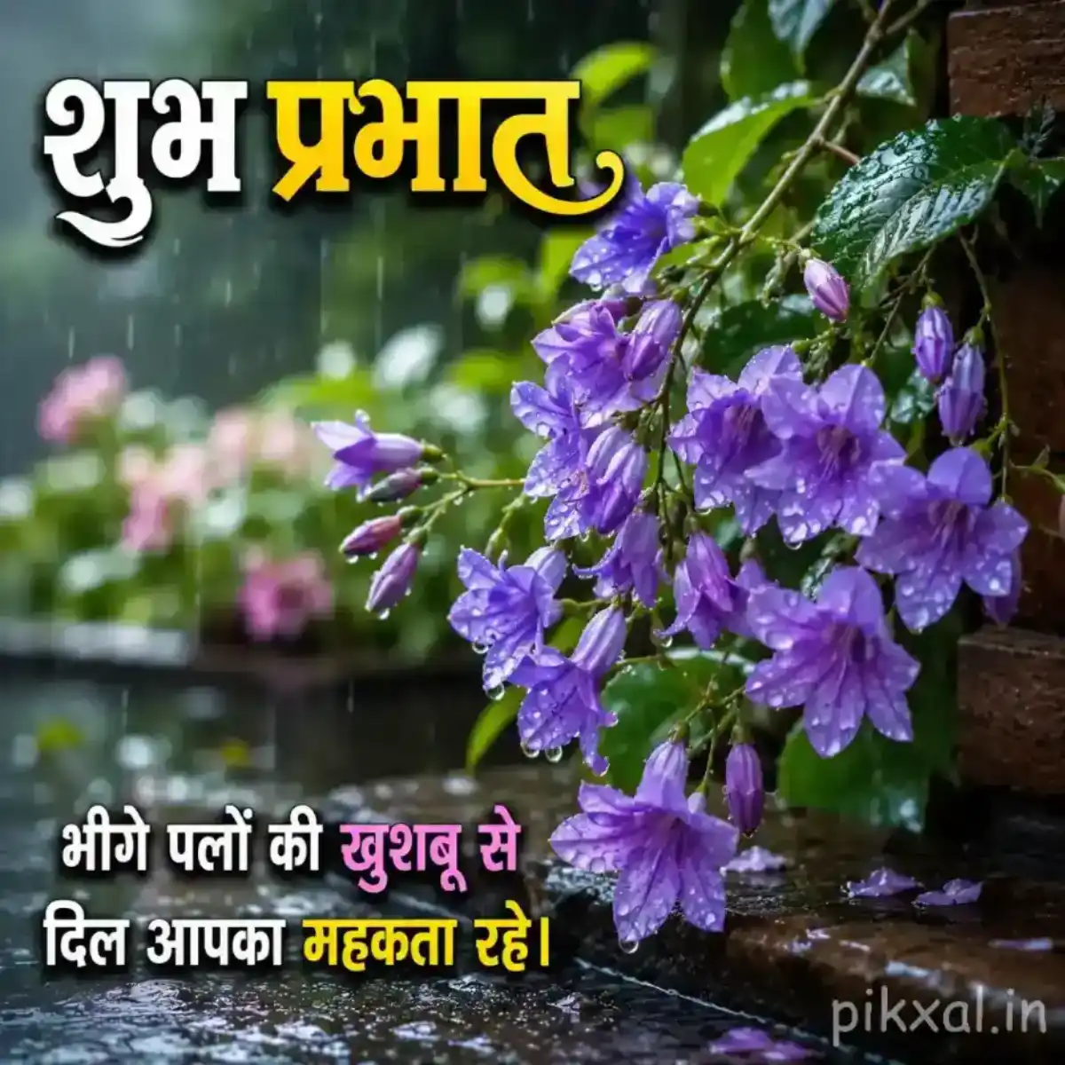 Cluster of purple flowers with green leaves and raindrops in a lush rainy garden with a शुभ प्रभात quote