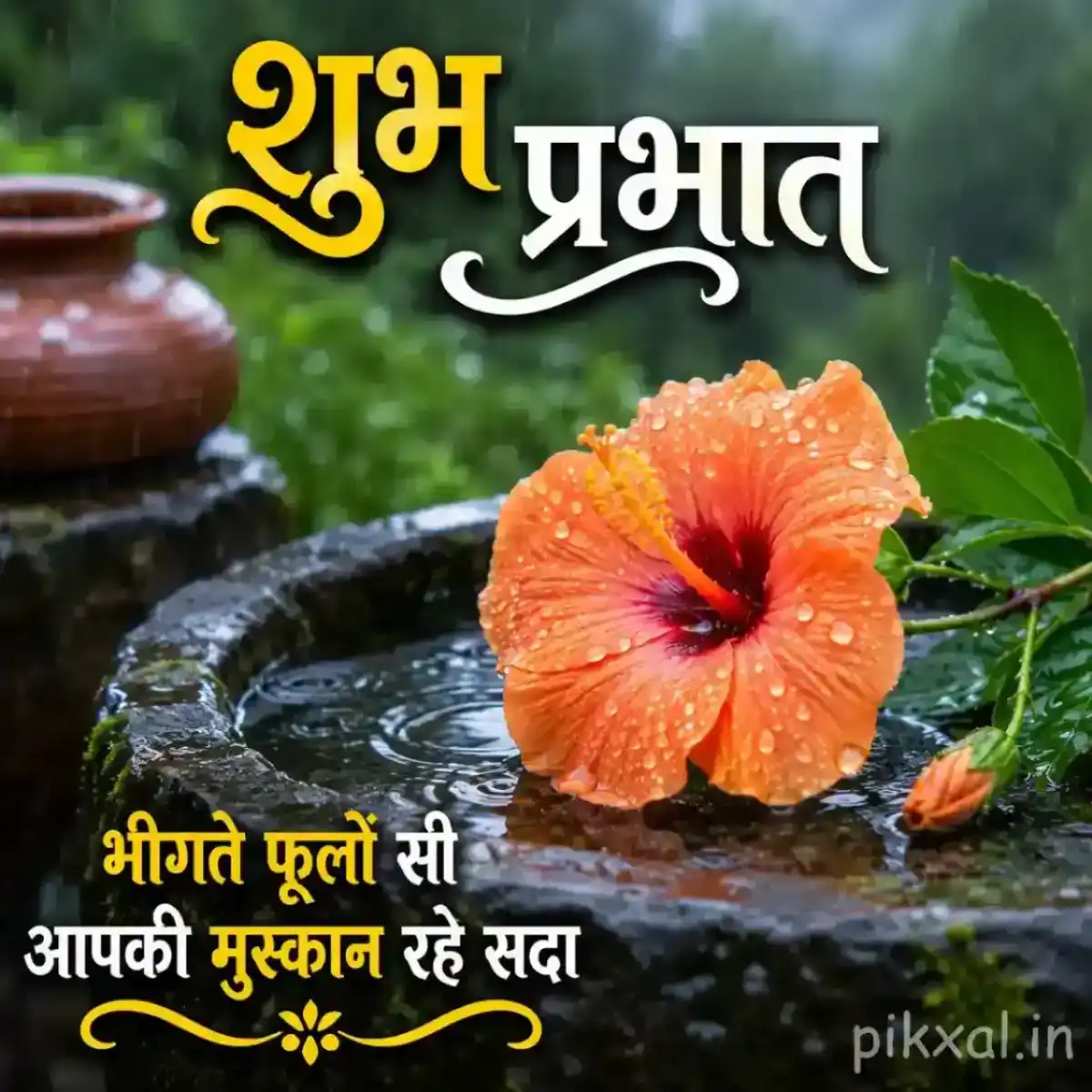 Orange hibiscus flower with green leaves and raindrops beside a wet garden path with a शुभ प्रभात quote