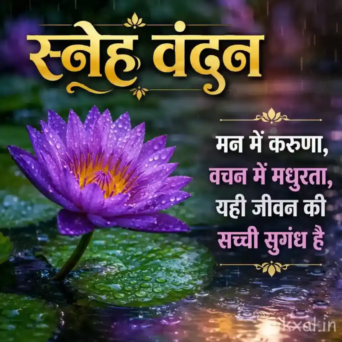 Purple water lily flower floating on a green lily pad with raindrops and a स्नेह वंदन quote