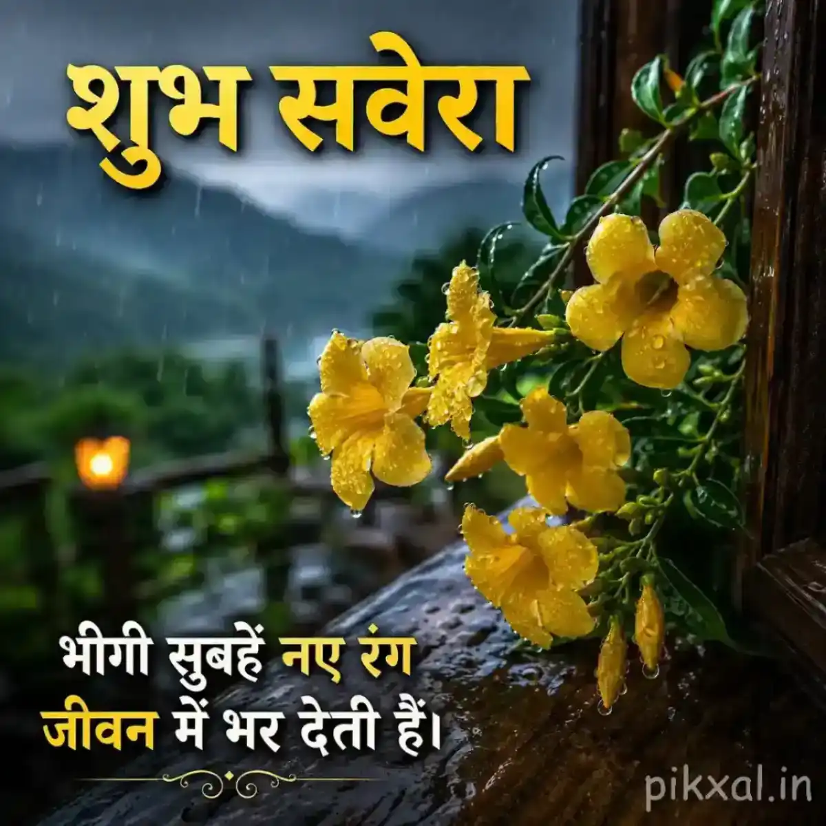 Cluster of yellow flowers with green leaves and raindrops in a lush monsoon garden with a शुभ सवेरा quote