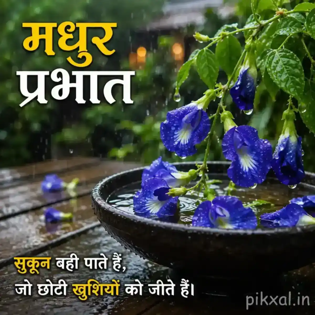 Blue butterfly pea flowers with green leaves and raindrops in a bowl against a rainy garden background