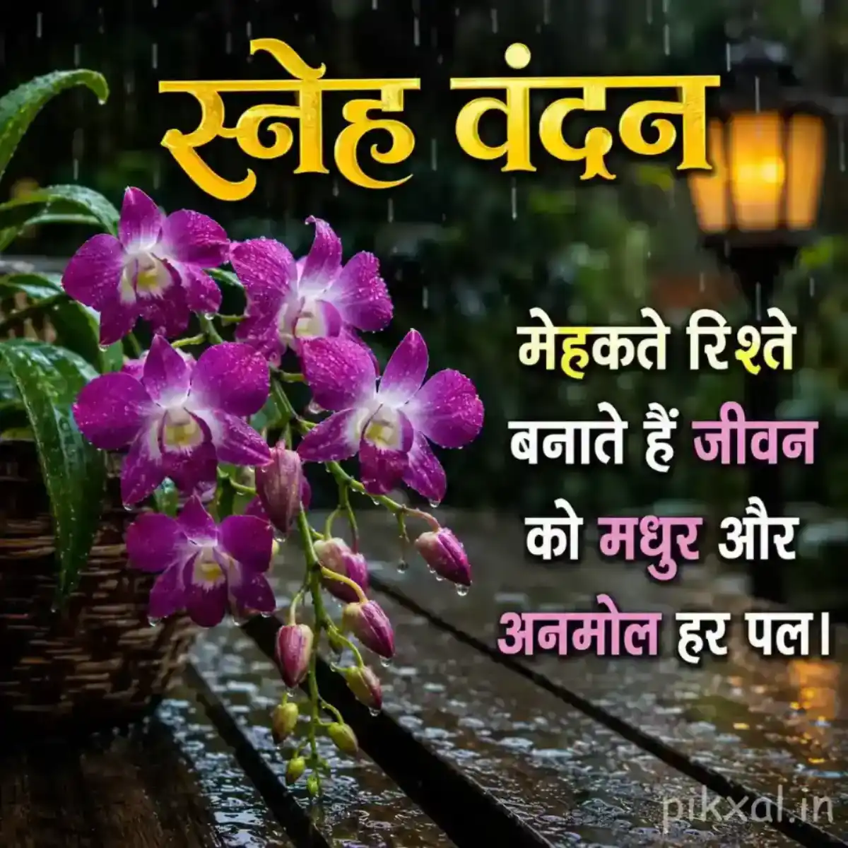 Cluster of purple and pink flowers with green leaves and raindrops beside a rainy garden path with a स्नेह वंदन quote