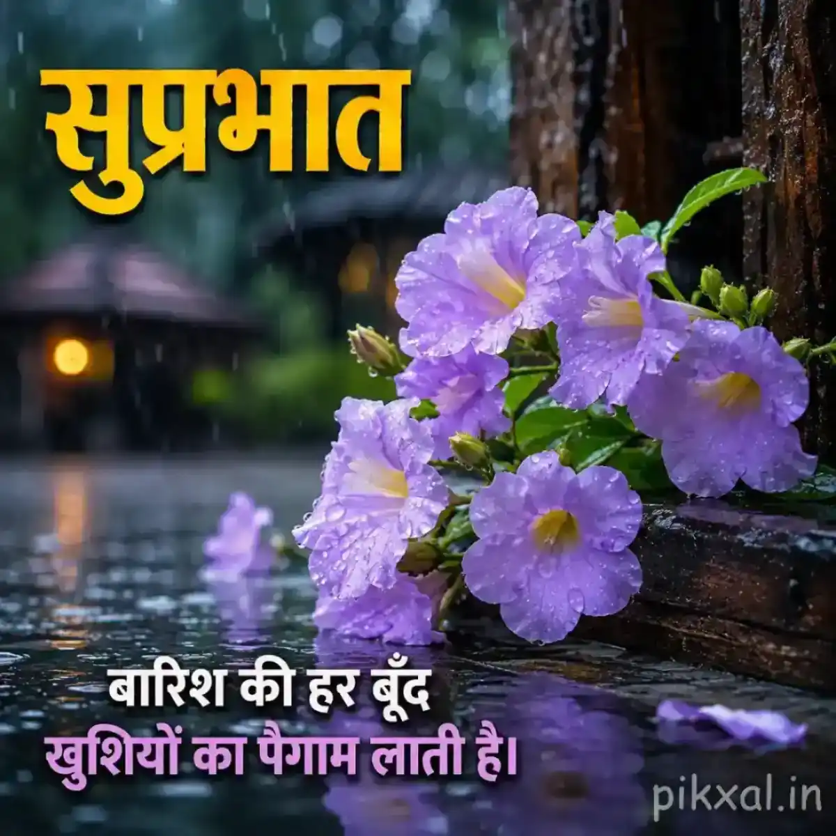 Cluster of light purple flowers with green leaves and raindrops beside a wet garden path with a सुप्रभात quote