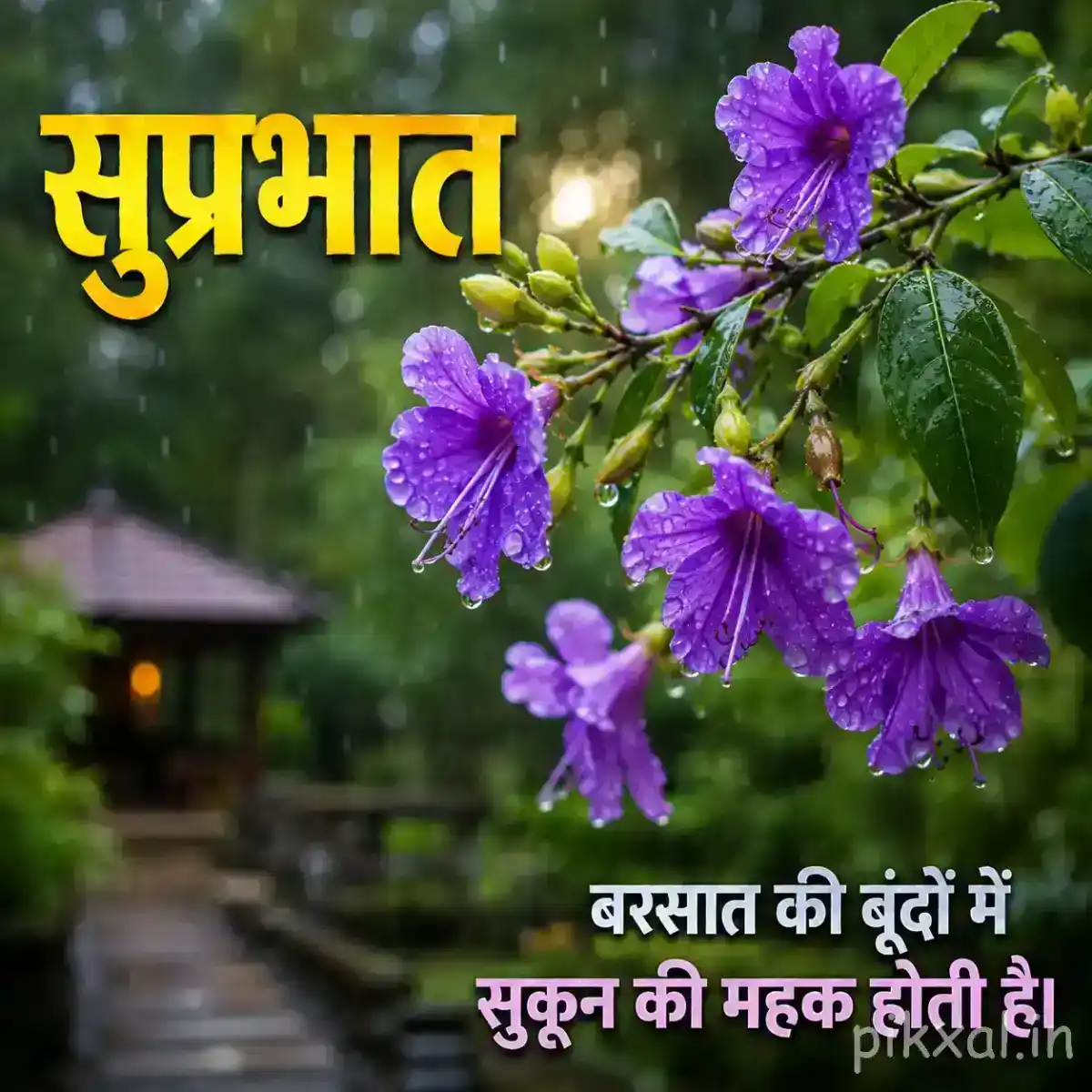 Purple flowers with green leaves and raindrops against a blurred monsoon garden background with a सुप्रभात quote
