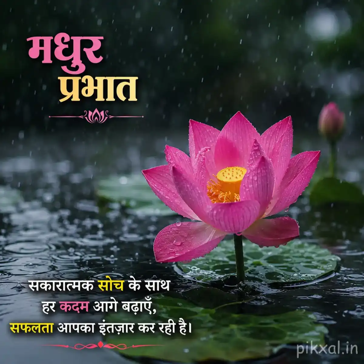 Monsoon Good Morning Images featuring a single pink lotus flower with green lily pads and raindrops on a rainy pond