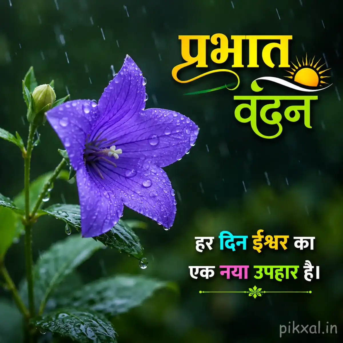 Purple five-petaled flowers with green leaves and raindrops against a lush rainy garden background with a प्रभात वंदन quote