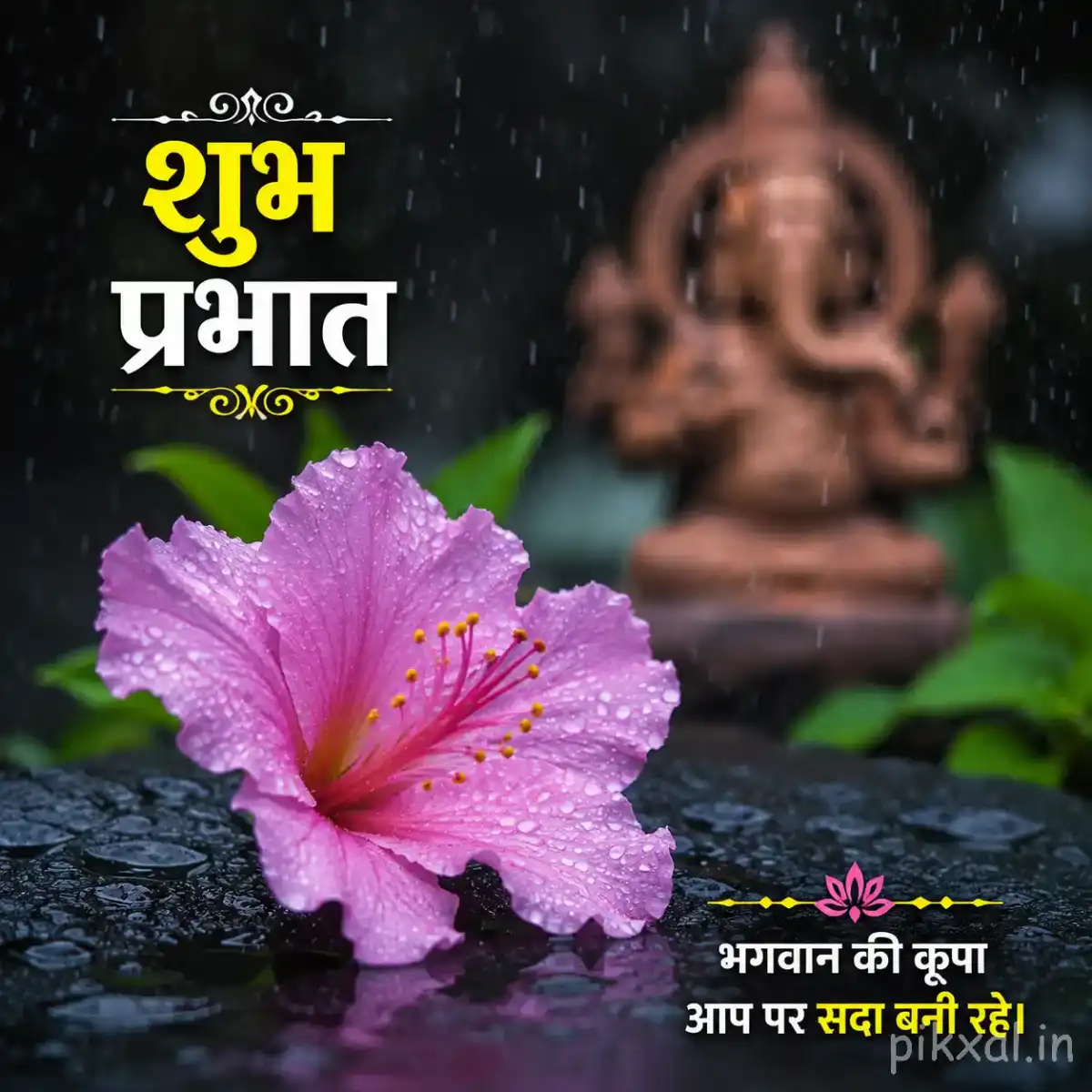 Pink hibiscus flower with green leaves and raindrops against a rainy garden background with a शुभ प्रभात quote