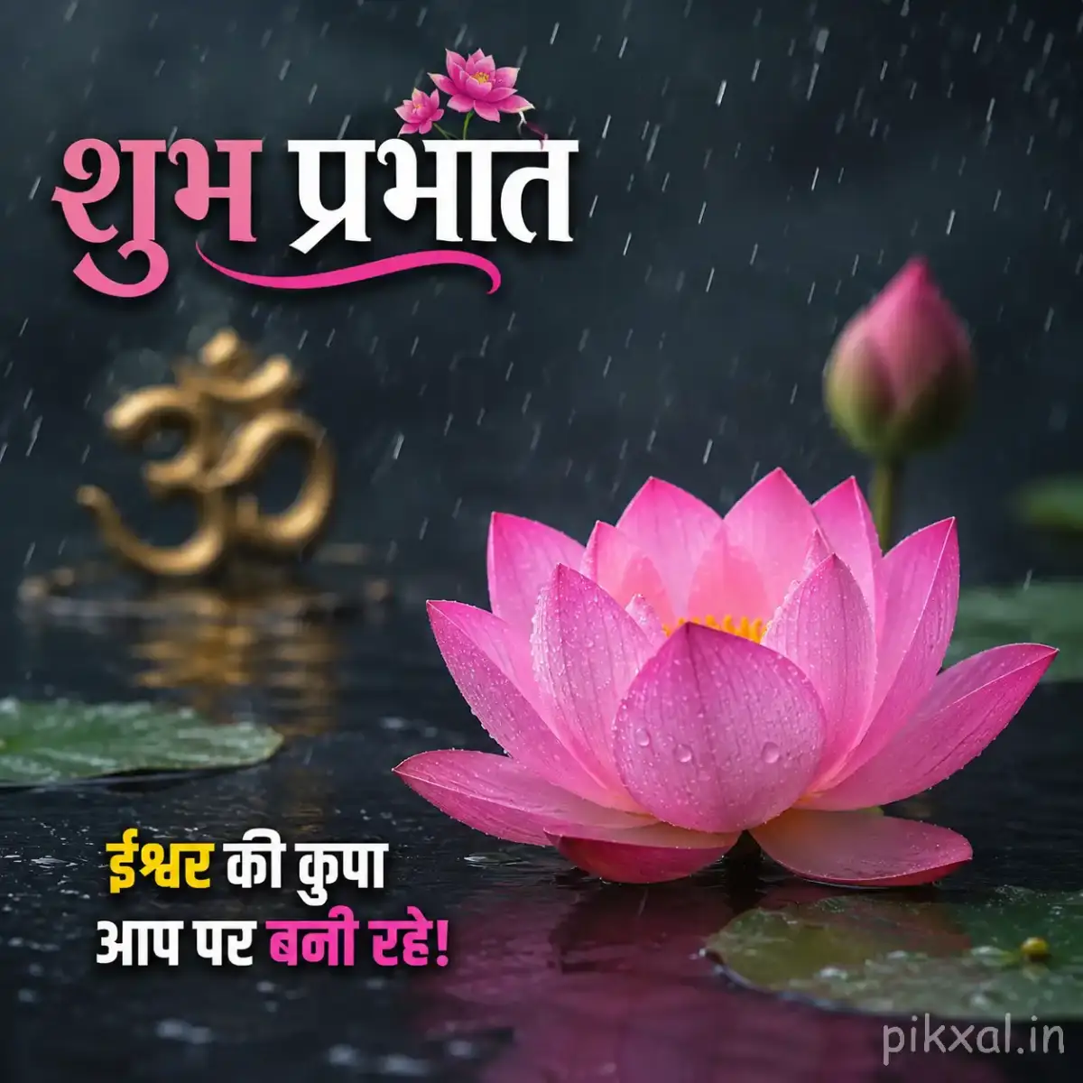 Single pink lotus flower with green leaves and raindrops floating on a rainy pond with a शुभ प्रभात quote
