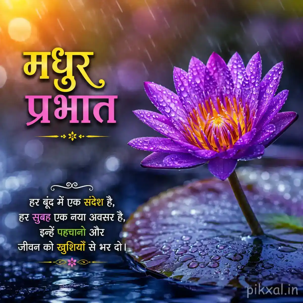 Single purple water lily with a yellow center, green lily pad and raindrops floating on a rainy pond with a मधुर प्रभात quote