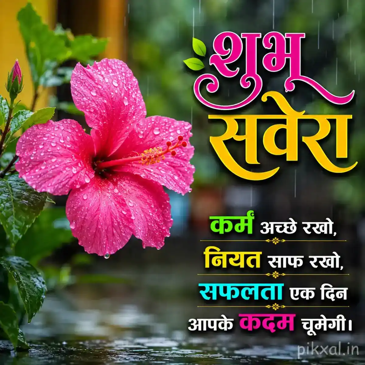 Single pink hibiscus flower with green leaves and raindrops against a lush monsoon garden background with a शुभ सवेरा quote