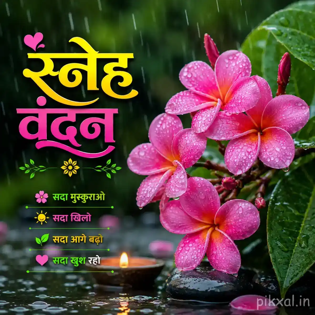 Cluster of five pink plumeria flowers with green leaves and raindrops in a rainy garden with a स्नेह वंदन quote