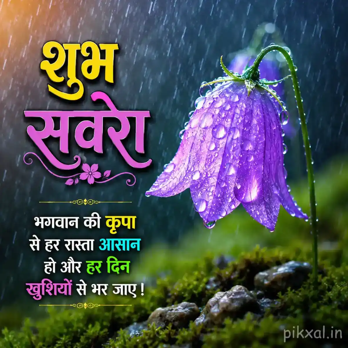 Purple bell-shaped flower covered with raindrops beside a wet garden pond with a शुभ सवेरा quote
