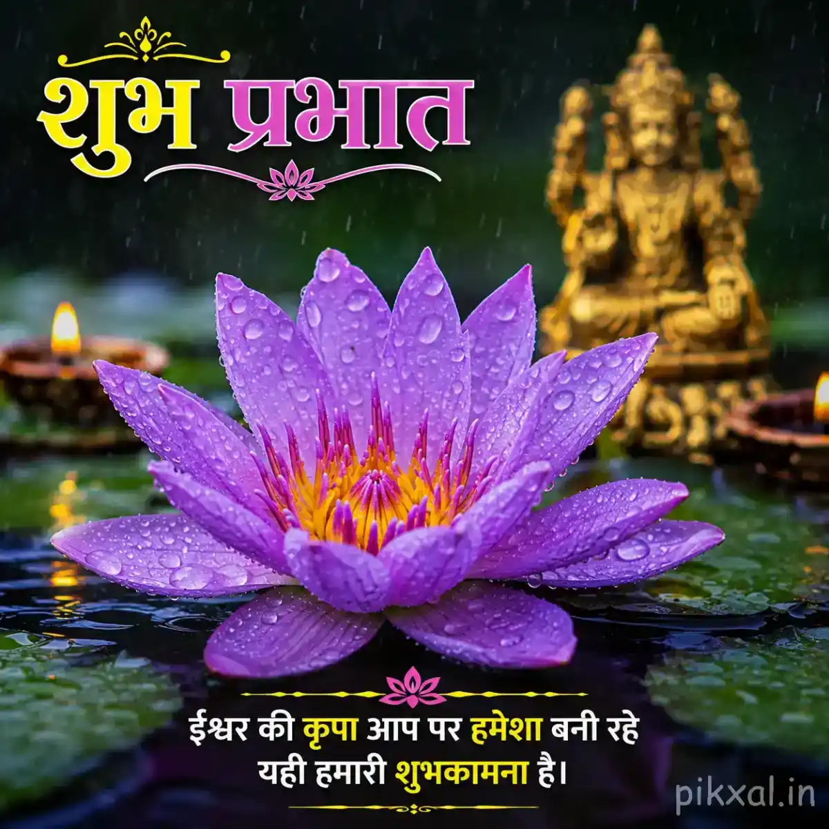 Single purple water lily with green lily pads and raindrops floating on a rainy pond beside a devotional statue