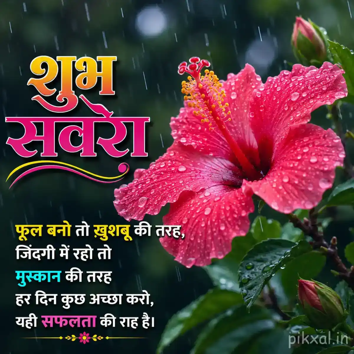 Single red-pink hibiscus flower with green leaves and raindrops against a dark rainy garden background with a शुभ सवेरा quote