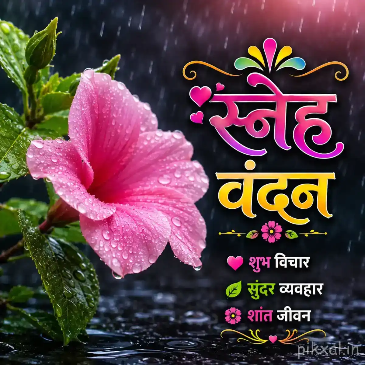 Single light pink hibiscus flower with green leaves and raindrops against a dark rainy garden background with a स्नेह वंदन quote