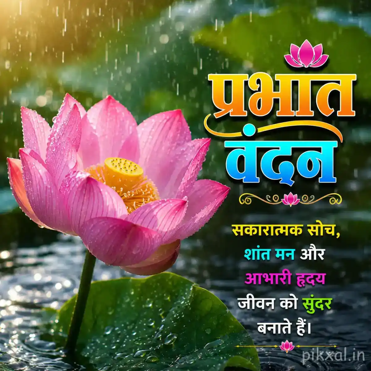 Monsoon Good Morning Images featuring a pink lotus flower with green lily pads and raindrops on a rainy pond