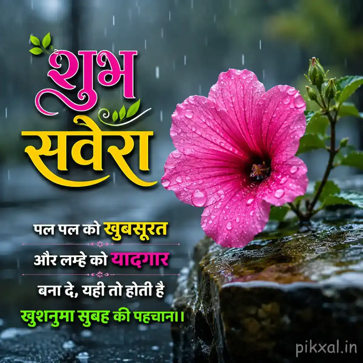Single bright pink hibiscus flower with green leaves and raindrops beside a wet pond with a शुभ सवेरा quote