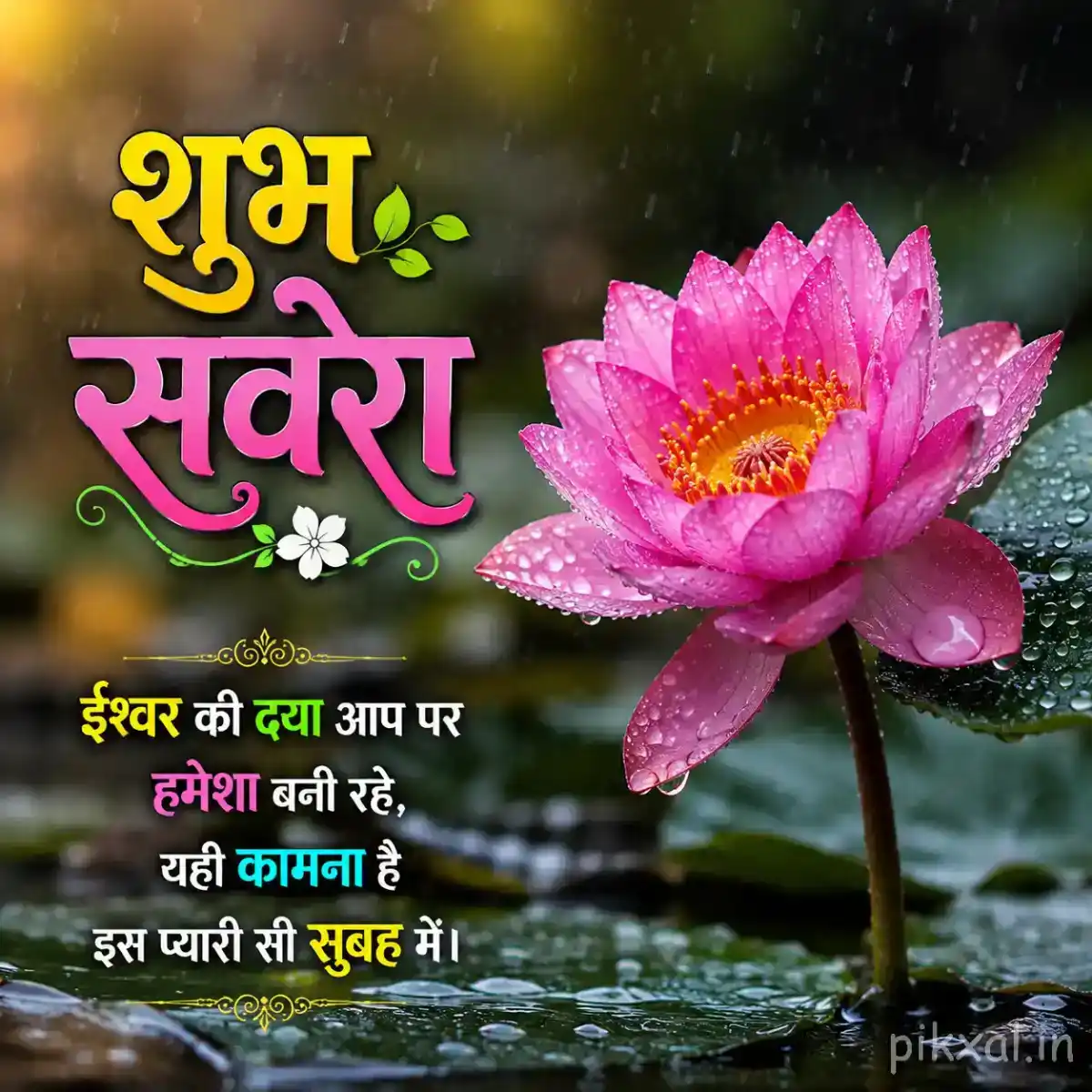 Single pink lotus flower with green lily pads and raindrops floating on a rainy pond with a शुभ सवेरा quote