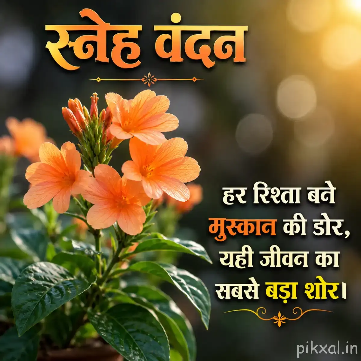 Several peach-orange flowers with rounded petals among glossy green foliage with a Hindi morning wish