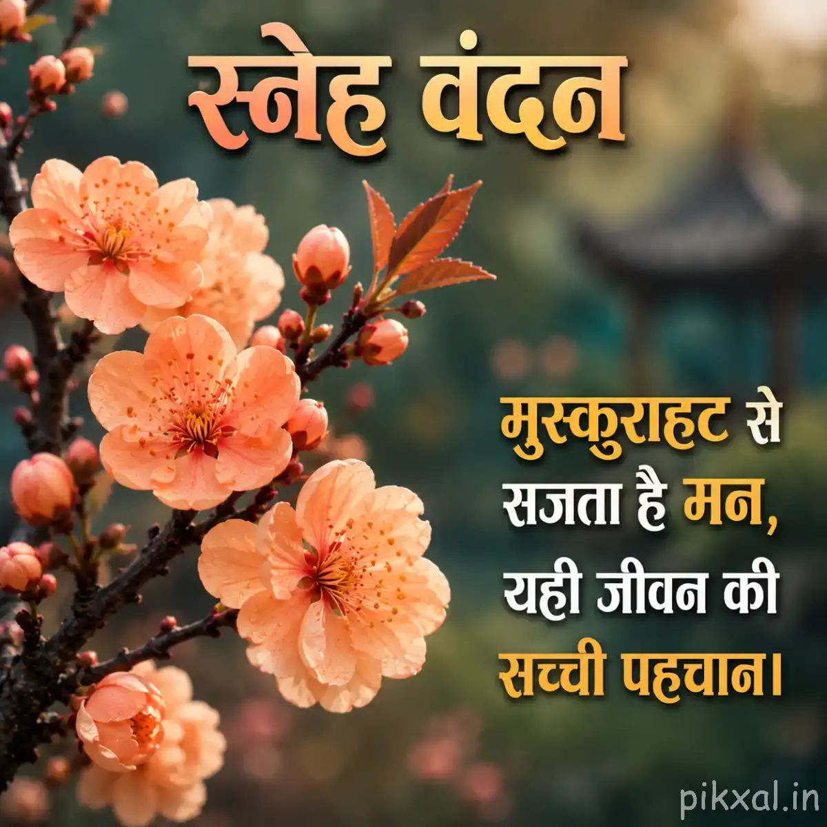 Peach-orange flowers with rounded petals and unopened buds on a branching stem with a Hindi morning message