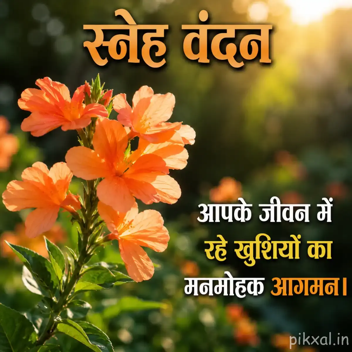 Orange flowers with layered petals growing upright among glossy green leaves with a Hindi morning message