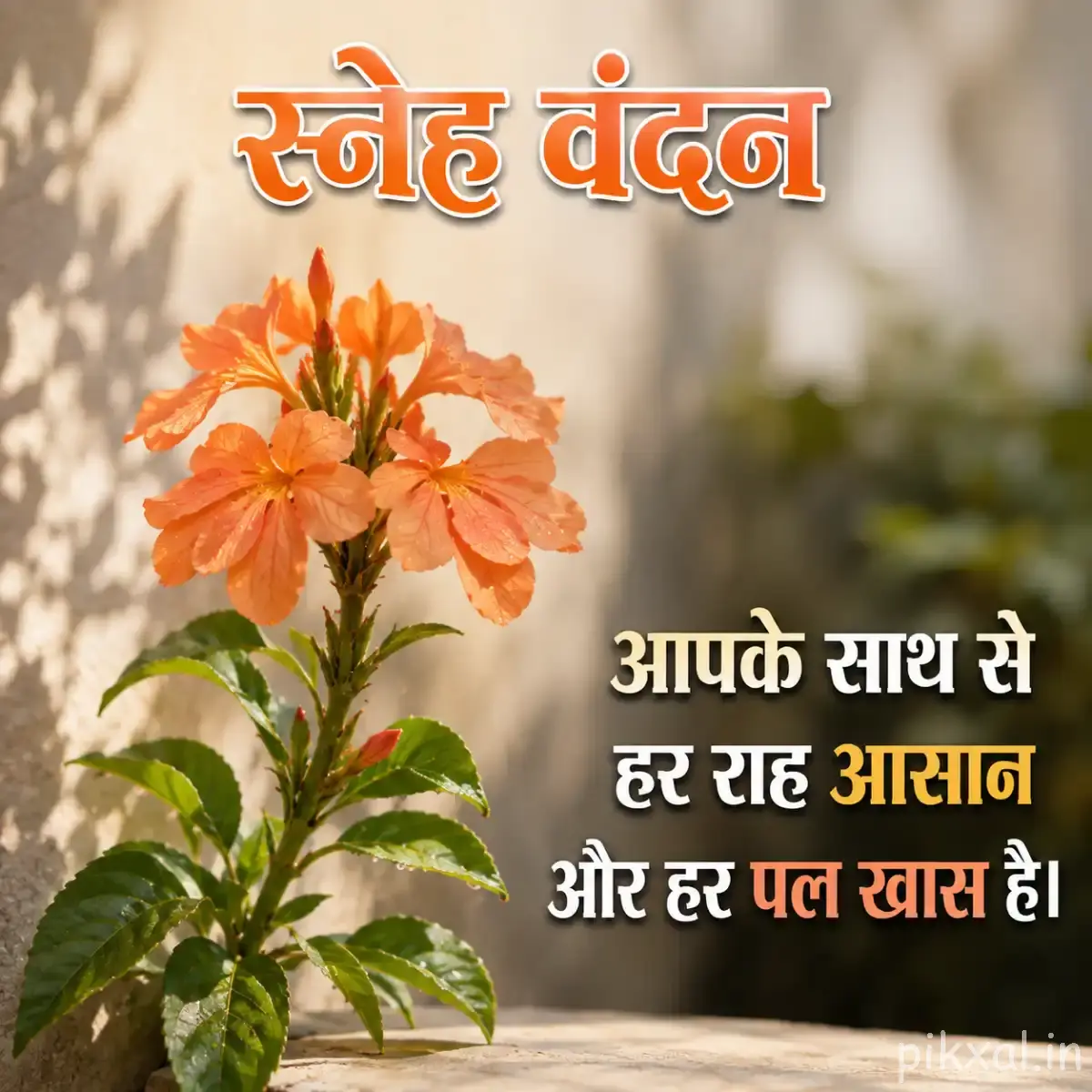 Peach-orange flowers with rounded petals and green leaves on upright stems beside a Hindi morning wish