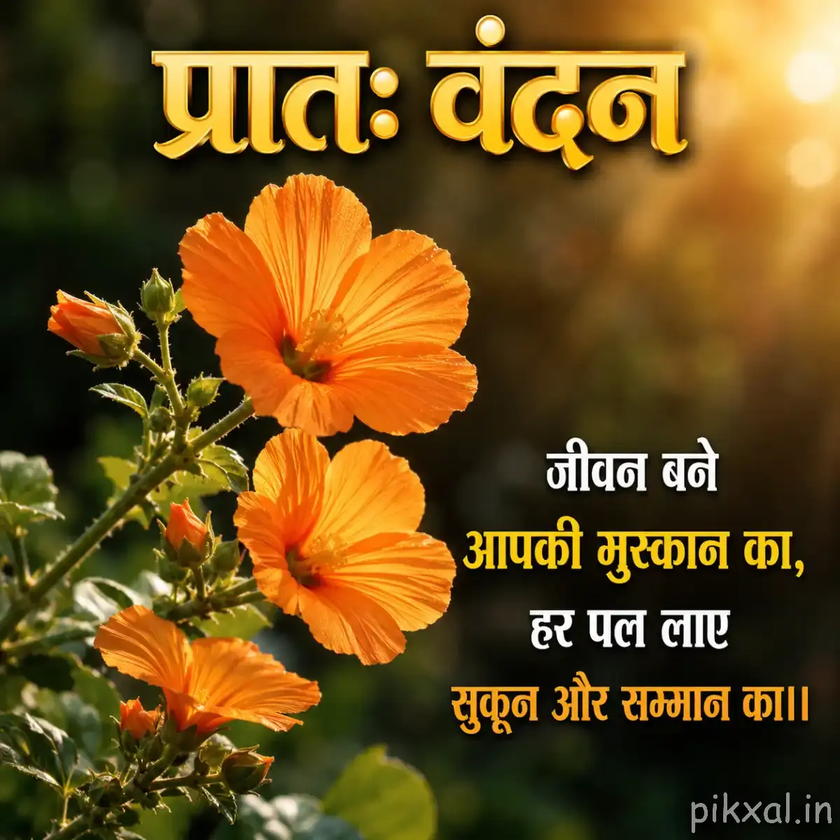 Orange flowers with open petals and buds on leafy stems against a warm blurred garden background
