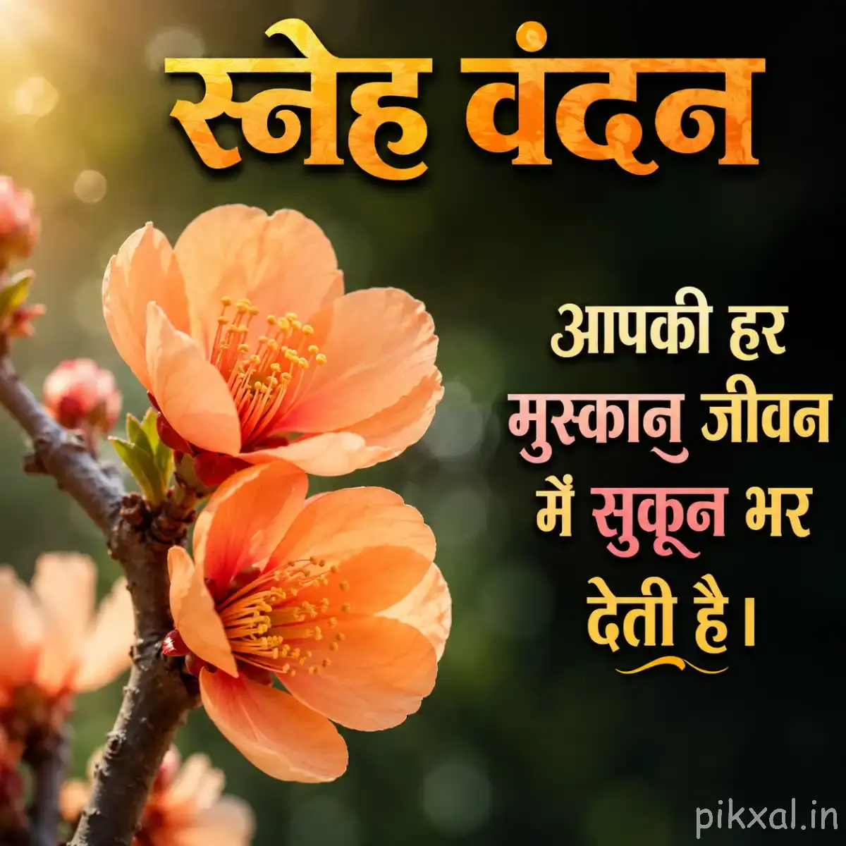 Two peach-orange flowers with layered petals on a woody branch with green leaves
