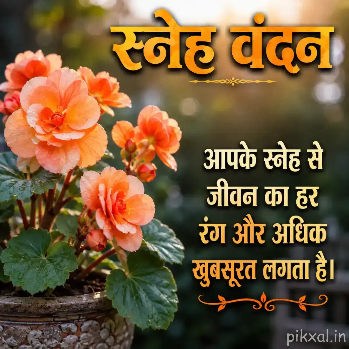 Multiple peach-orange flowers clustered among broad green leaves in a softly blurred garden setting
