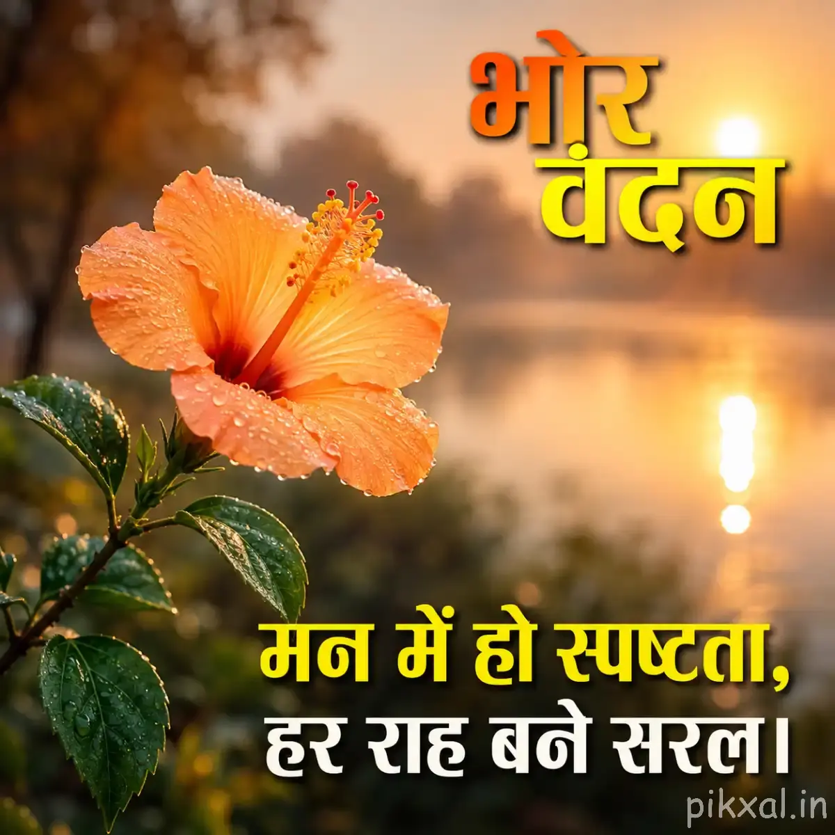Single peach-orange flower with a dark center and green leaves against a warm blurred background
