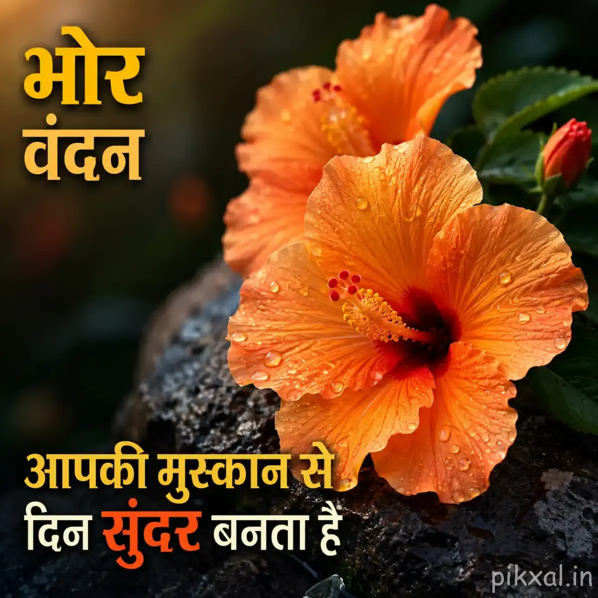 Large orange flower with a dark red center and green leaves against a blurred garden background