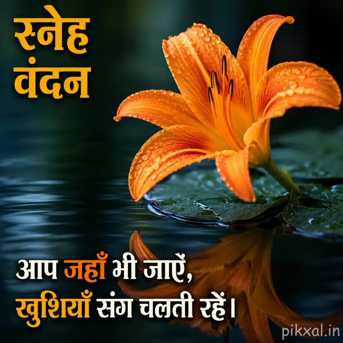 Orange flower with elongated petals resting above calm water, with green leaves reflected on the surface