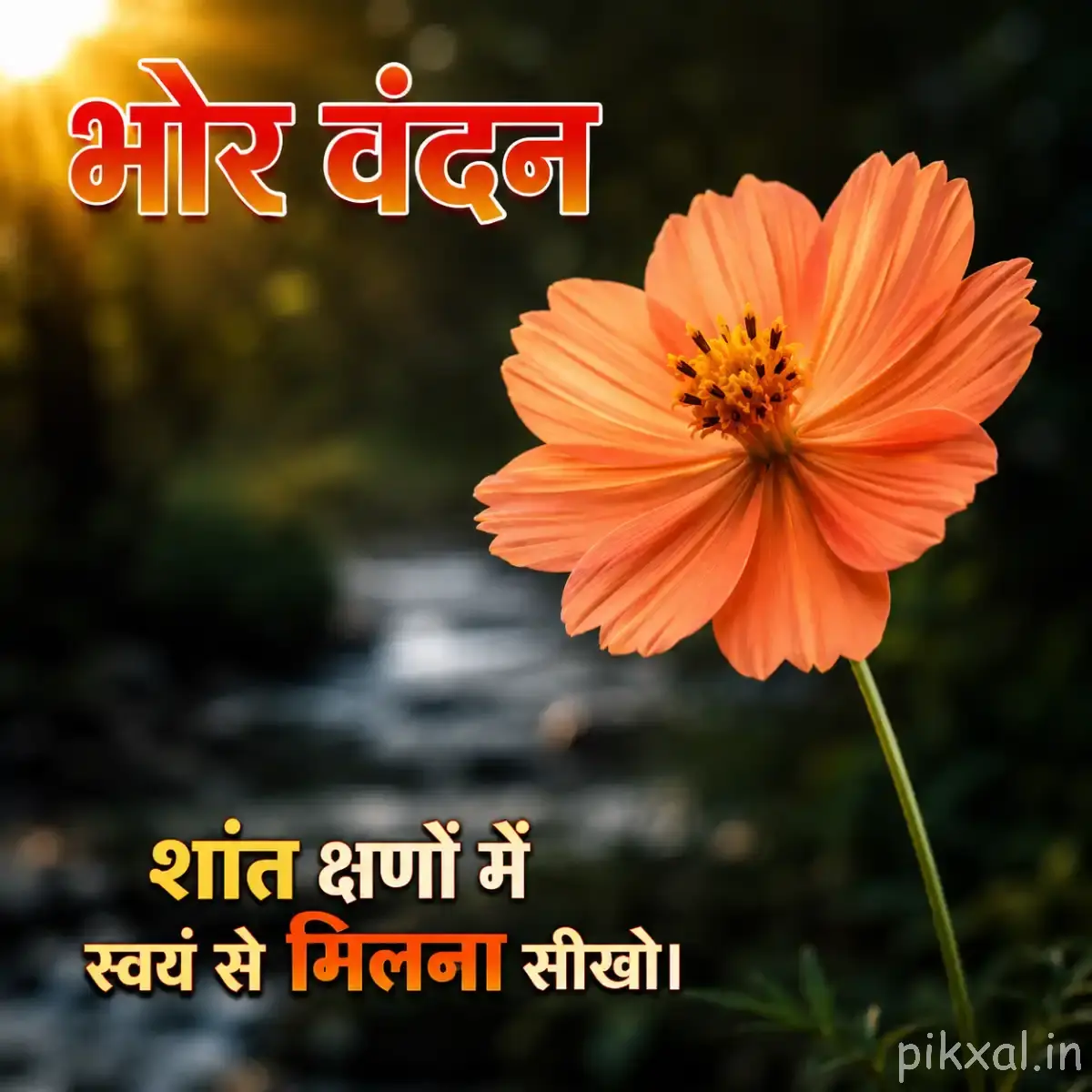 Single pale orange flower with a dark center on a slender stem above a softly blurred stream