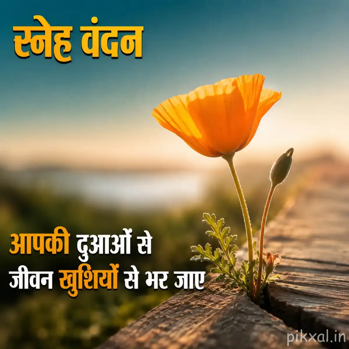 Single drooping orange flower on a slender stem beside calm water and a softly blurred horizon