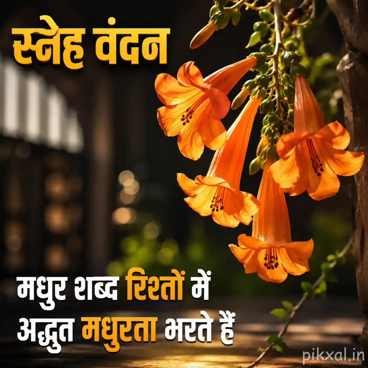Several orange hanging flowers with elongated petals and green foliage beside a rustic wooden background